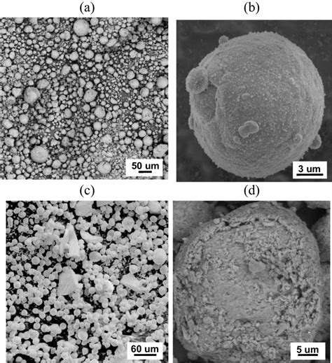 Micrographie of initial powders obtained by scanning electron ... 