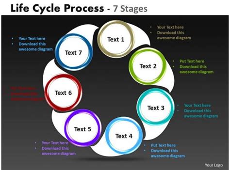 Life Cycle diagrams Process 7 Stages 6 | PowerPoint Slide Clipart | Example of Great PPT ...