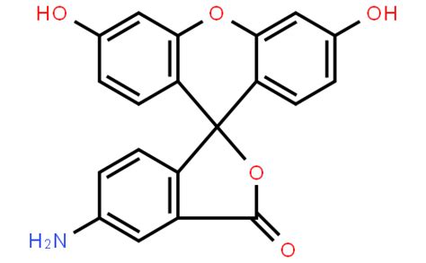 血液学组织学 中锦隆科技