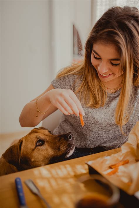 Contacto Enya Kyokai Fotograf A De Familias Con Perros