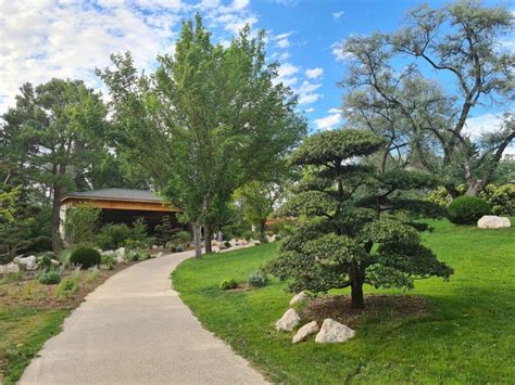 Jardin japonais Mohamed Laqhila Député sortant des Bouches du Rhône 13