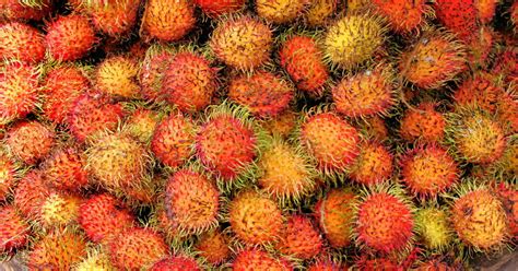 Rambutan Fruit in Kuala Lumpur, Malaysia - Encircle Photos