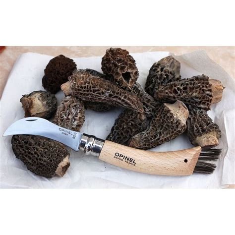 Нож грибника Opinel нержавеющая сталь, рукоять бук – купить в интернет ...