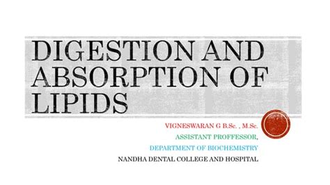 Digestion And Absorption Of Lipids Pptx