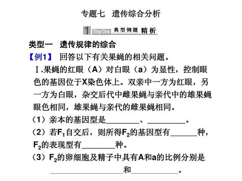 2012高考生物二轮复习各类型题解题技巧：专题七 遗传综合分析word文档在线阅读与下载无忧文档