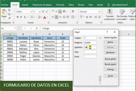 Formulario De Datos En Excel Excel B Sico Tecpro Digital