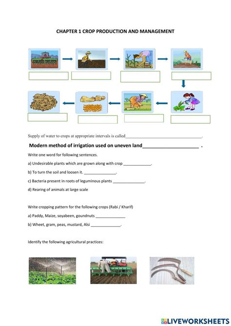 worksheet  cr  interactive worksheets
