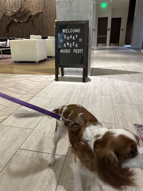 distance from orlando fl to atlanta ga 2