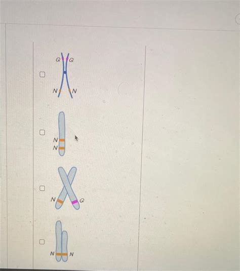 Solved Review Part C Which of the following student-drawn | Chegg.com 