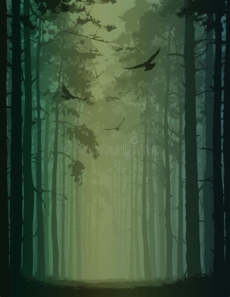 P Ssaros Na Floresta Ilustra O Do Vetor Ilustra O De Preto