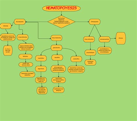 Cuadro De Hematopoyesis