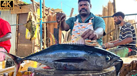 Kasimedu Speed Selvam Giant Yellow Fin Tuna Fish Cutting In