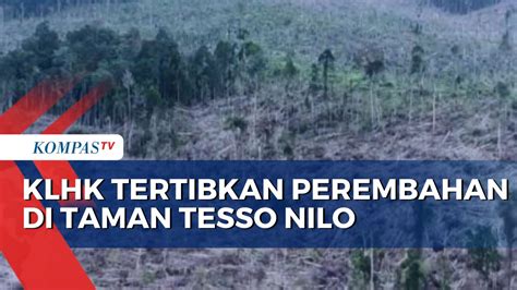 Klhk Riau Robohkan 36 Rumah Yang Berdiri Di Hutan Taman Nasional Tesso Nilo