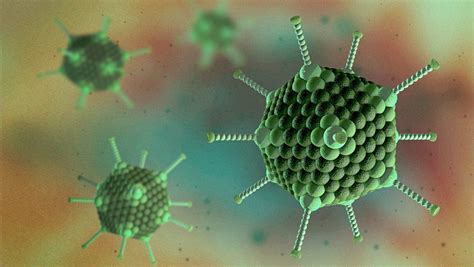 Microbiologia Medica Adenovirus