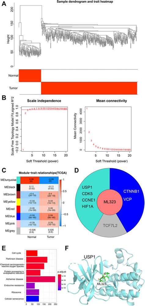 Frontiers Ml Suppresses The Progression Of Ovarian Cancer Via