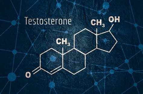 Testosterone Patches Benefits Side Effects And Alternatives Prolong