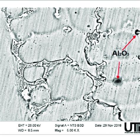 SEM for the coating performed with Blend A. | Download Scientific Diagram