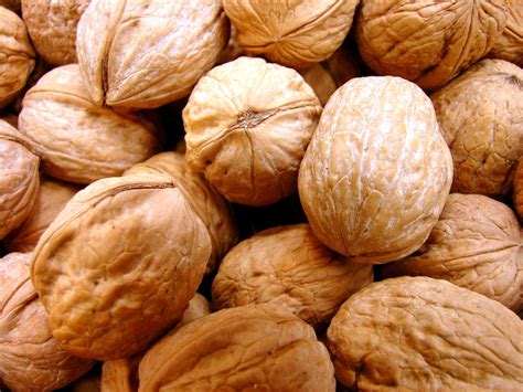 nuts Free Photo Download | FreeImages