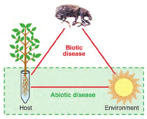 3 —The “disease triangle” illustrates the concept that a host, a pest,... | Download Scientific ...