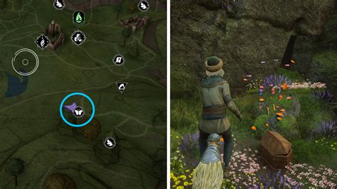 All Butterfly Locations In Hogwarts Legacy Game News