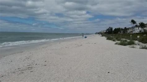 Best Hikes And Trails In Barefoot Beach State Preserve AllTrails