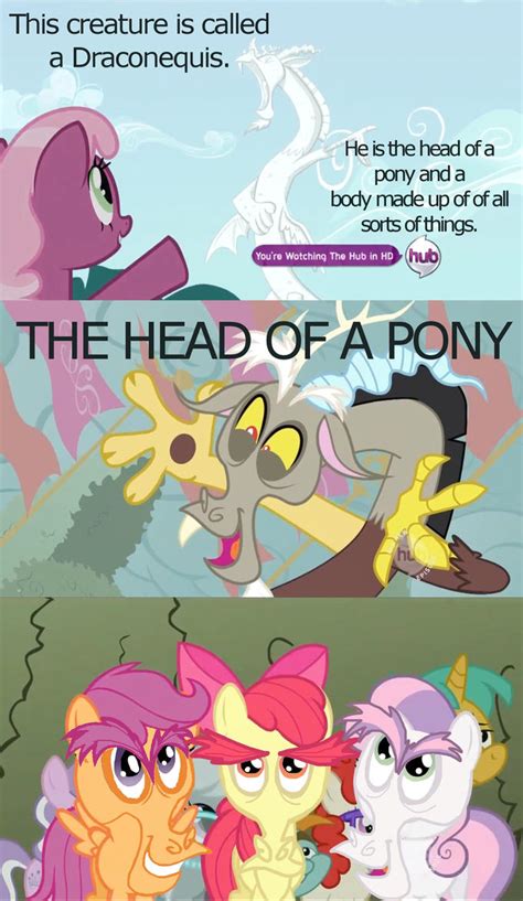 Thats One Ugly Pony By Vanderlyle On Deviantart