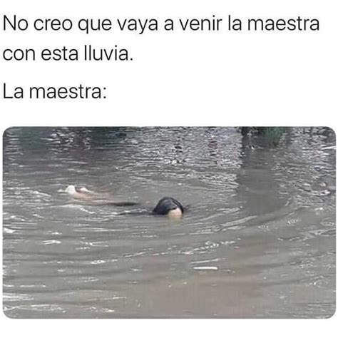 Pin De Vane En Memes V Chistes Graciosos Memes Divertidos Meme