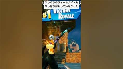 フォートナイト 何もしてなくてもビクロイする奴【 Fortnite】 Youtube