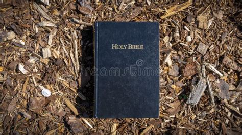 Holy Bible on the ground stock photo. Image of outdoor - 150243614