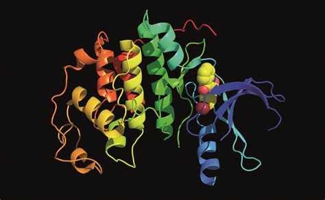 Researchers develop platform to aid kinase drug discovery - The ... 