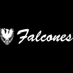 Falcones - Crunchbase Company Profile & Funding