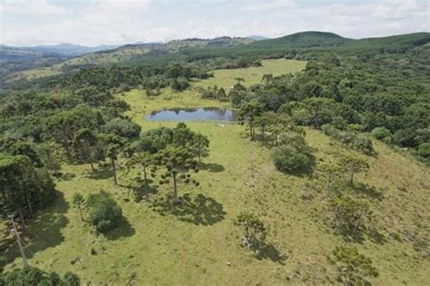 Fazenda S Tio Em Zona Rural Em Urupema Por R Viva Real