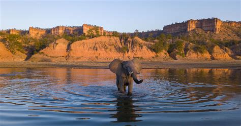 Gonarezhou National Park Expats Travel Together