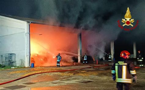 Deposito Di Paglia In Fiamme Bruciate Nel Rogo 300 Balle Rettangolari