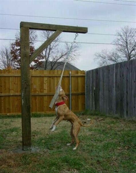 22 Of the Best Ideas for Dog Playground Diy - Home, Family, Style and ...