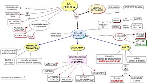 Mappa Concettuale CELLULA Materiale Per Scuola Media Materia Scienze