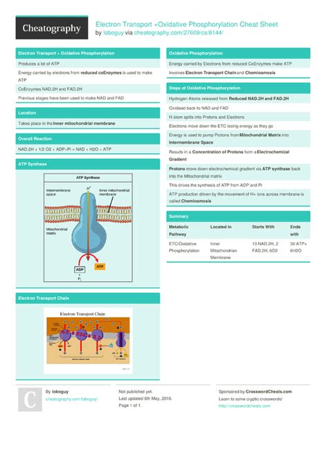 Electron Transport Oxidative Phosphorylation Cheat Sheet By Loboguy