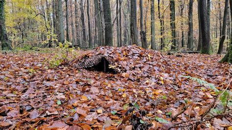 Stealth Camping Unsichtbar Im Wald Stealth Shelter Youtube