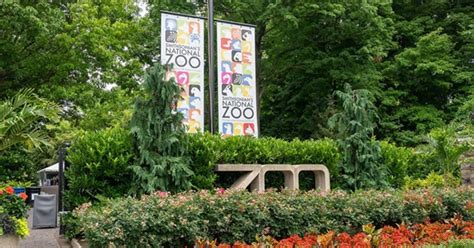 Animals at Smithsonian National Zoo