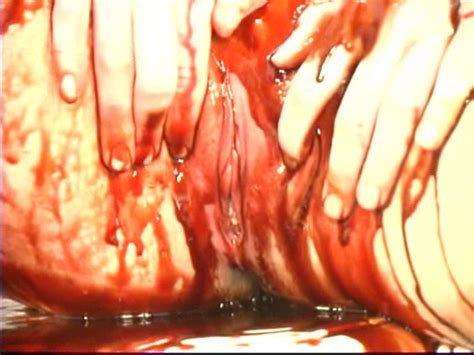 Taste The Rainbow Flavored Pussy Of Gorgeous Babe Ana