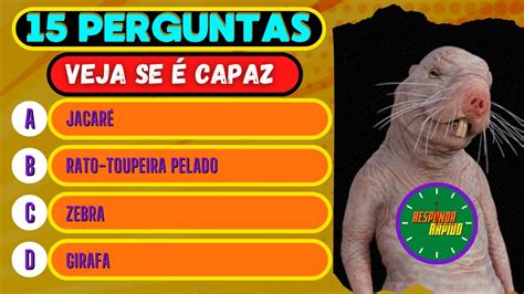 RESPONDA RAPIDO QUIZ DE CONHECIMENTOS GERAIS VARIEDADES E CURIOSIDADES