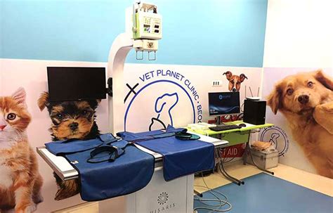 Usluge Za Veterinare Vet Planet Clinic Veterinarska Klinika Beograd