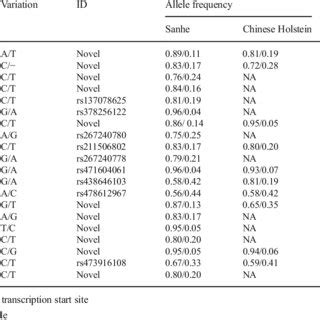 Frequencies Of Variations In The 5 Flanking Region Of The Hsp70 Gene