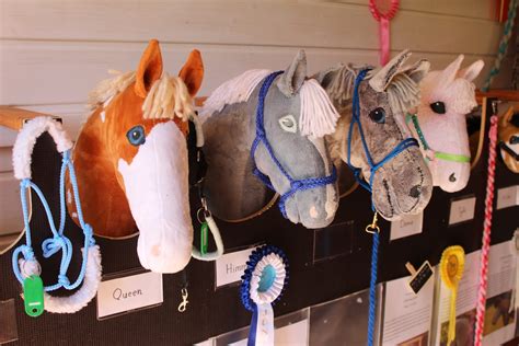 Hobby Horsing Reiten Auf Dem Steckenpferd Zubeh R Und Tipps