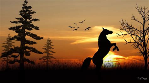 Horse Sunset Wallpapers - Top Free Horse Sunset Backgrounds - WallpaperAccess