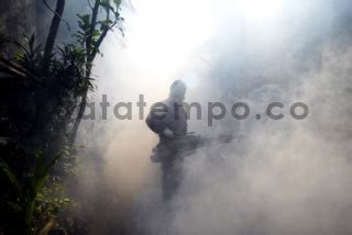 Fogging Untuk Membasmi Nyamuk Penyebab Demam Berdarah DATATEMPO