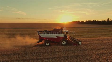 Agriculture Harvester Harvests Wheat In A Field At Sunset Business