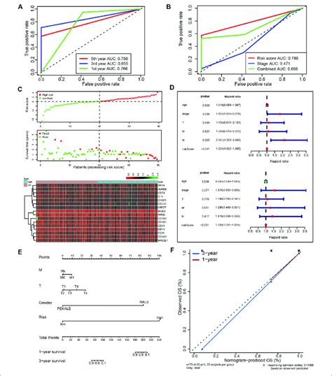 A Prognostic Signature From Ube T Associated Genes In The