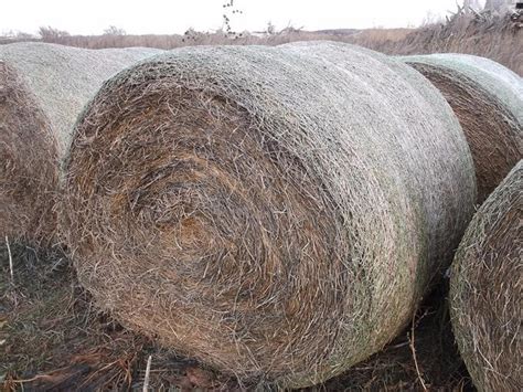 Alfalfa Nd Cutting Big Round Bales Bigiron Auctions