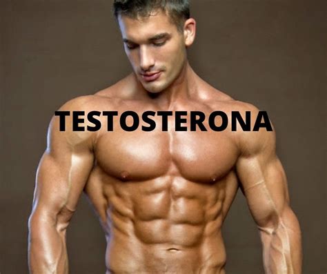 Qué Es La Testosterona ️ Testosterona Inyectable